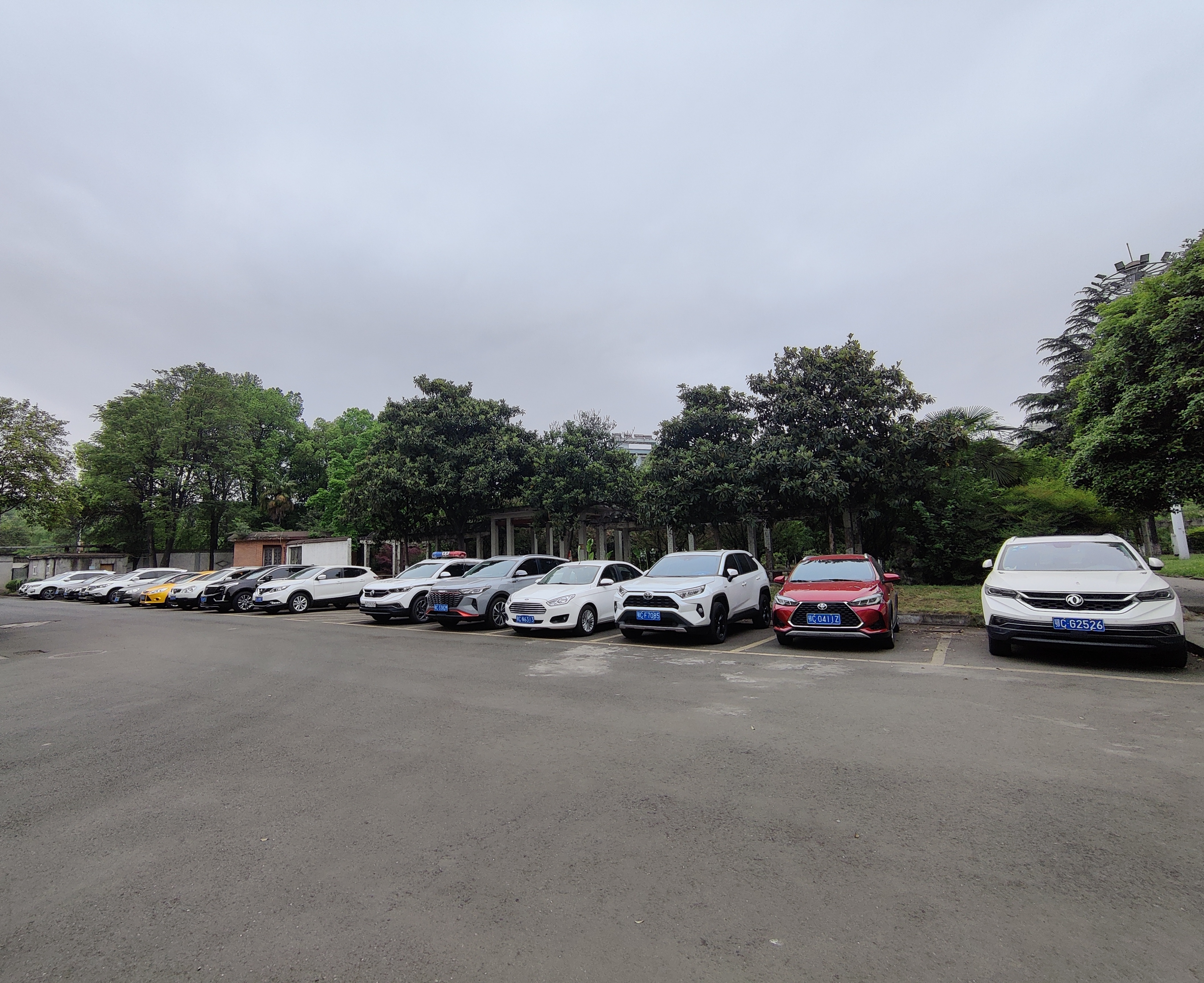 IMG_20220413_121952__01(1).jpg IMG_20220413_121952__01(1).jpg