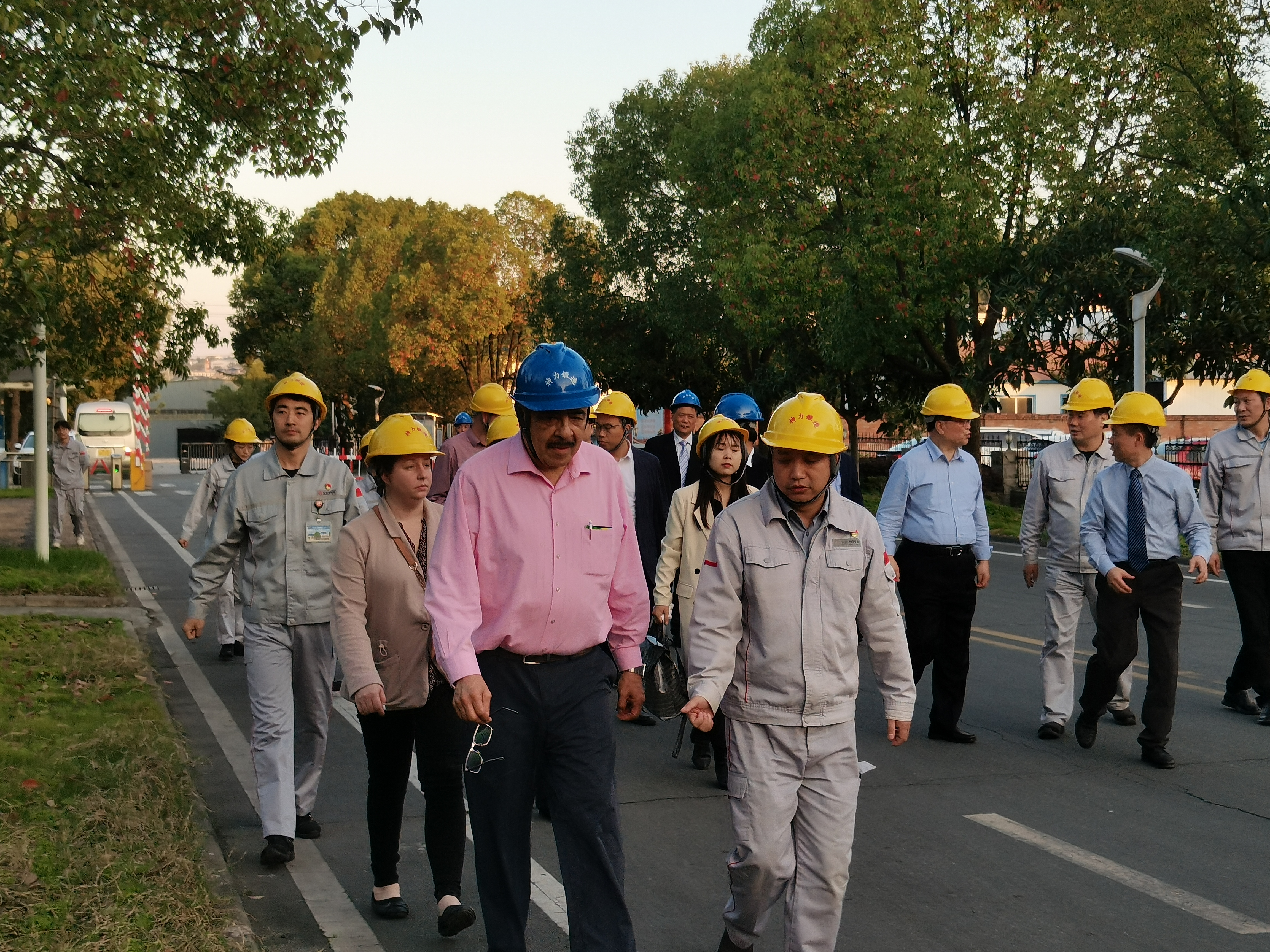 IMG_20231028_172135(1).jpg IMG_20231028_172135(1).jpg